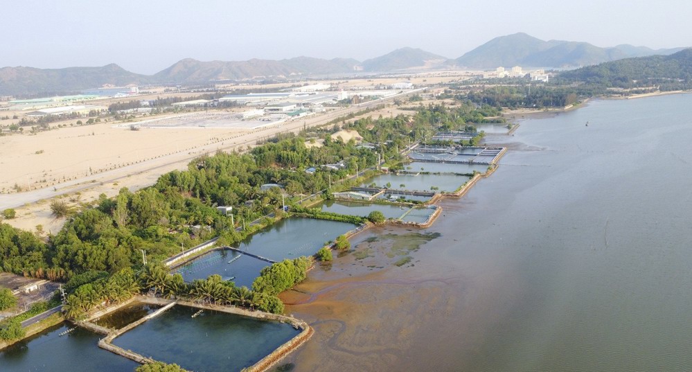 Visit beautiful Thi Nai lagoon in Binh Dinh