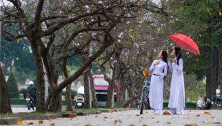 La fête du temple de Lac Long Quân reconnue patrimoine culturel immatériel national