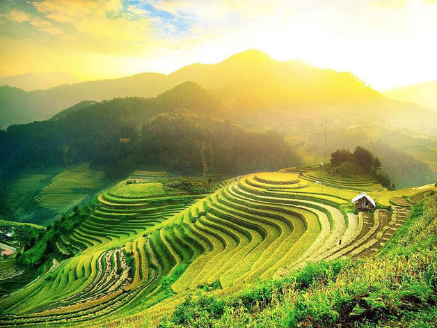 Hoang Su Phi terraced fields