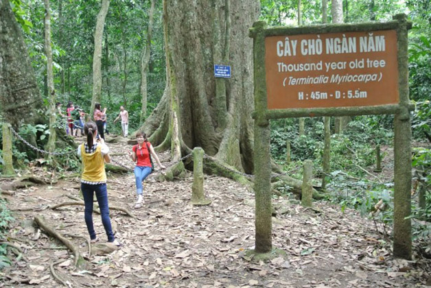 Cuc Phuong National Park