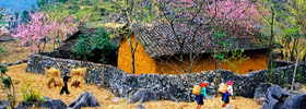 Travel Blog