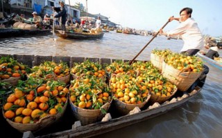 Mekong Delta two days trip