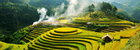 Vietnam Guide