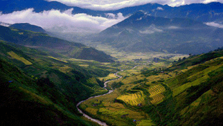 Admiring Hoang Su Phi terraced fields in rainy season